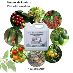 Humus de lombriz / Fertilizante organico