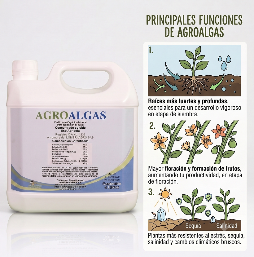 AGROALGAS / bioestimulante radicular + activador de suelo
