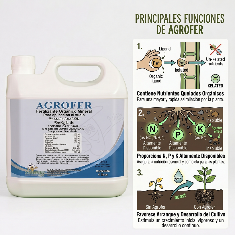 AGROFER / Crecimiento y Recuperación