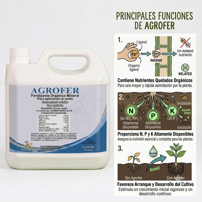 AGROFER / Crecimiento y Recuperación