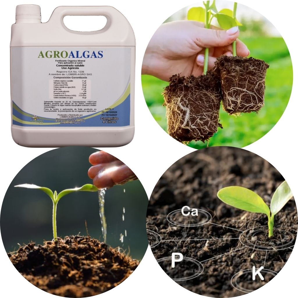 Agroalgas / Algas mas fosforo