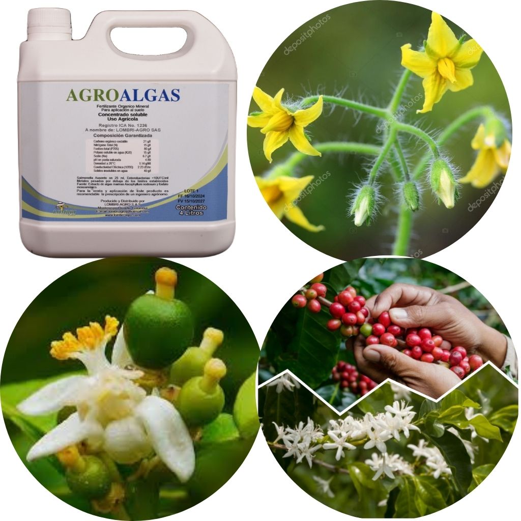 Agroalgas / Algas mas fosforo