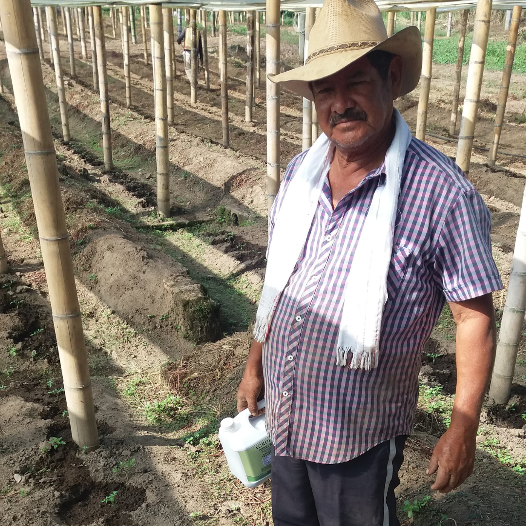 AGROLIQ / Microorganismos Efectivos FT