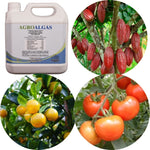 Agroalgas / Algas mas fosforo