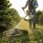 Aroplateo el original