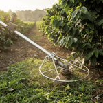 Aroplateo el original