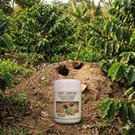 Cero Arriera / Control de la hormiga arriera