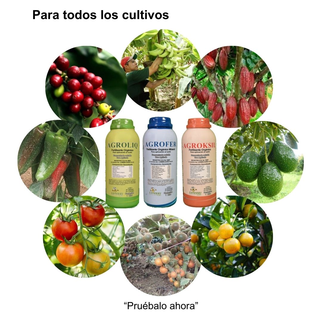 Combo 6 litros fertilizantes