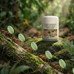 Cero Arriera / Control de la hormiga arriera