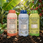 Combo 6 litros fertilizantes para Siembra, Crecimiento y Llenado