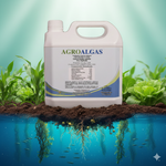 Agroalgas / Algas mas fosforo